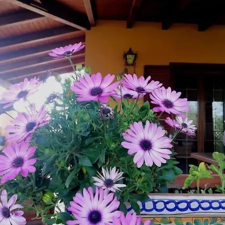 Semesterbostad Un Balcone Sul Mare Ad Agrigento