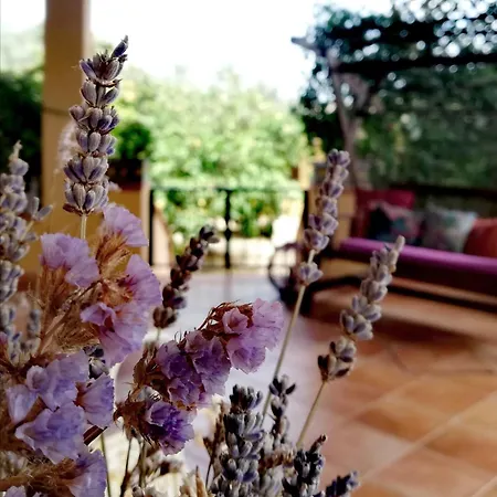 Un Balcone Sul Mare Ad Agrigento Semesterbostad Villaggio Peruzzo
